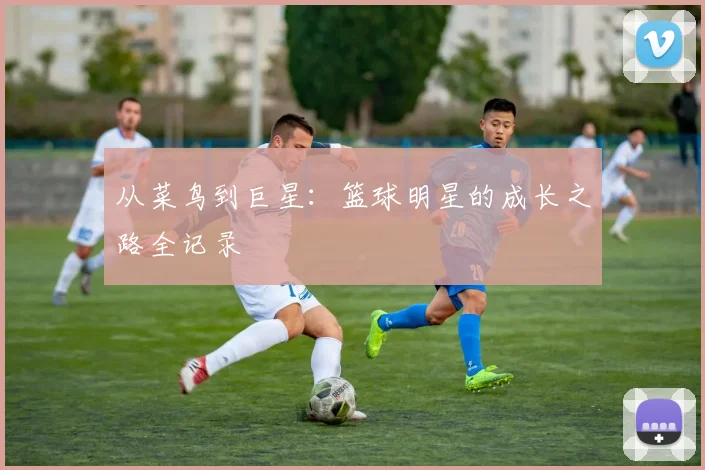 从菜鸟到巨星：篮球明星的成长之路全记录