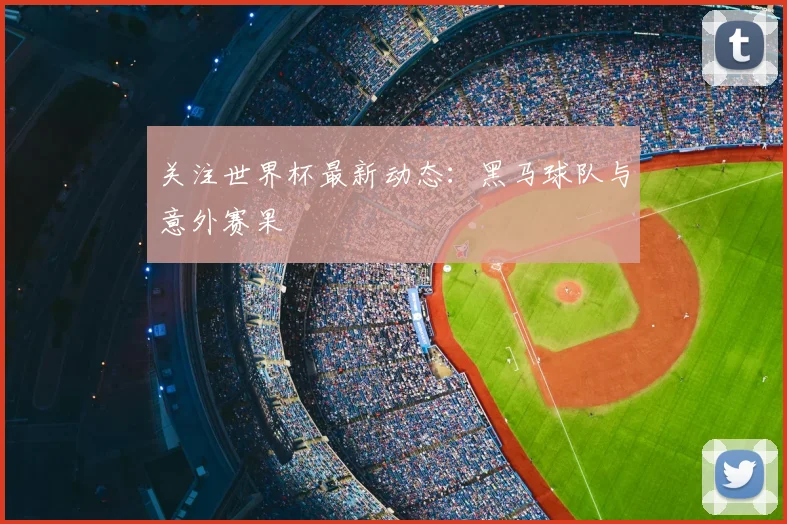 关注世界杯最新动态：黑马球队与意外赛果